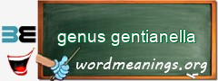 WordMeaning blackboard for genus gentianella